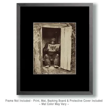 Bigfoot Takes a Dump - Cryptids  8"10" Artwork for 11"x12" Frame