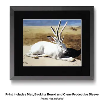Official Jackalope Portrait - Cryptids Art Prints - 8"x10" Artwork for 10"x12" Frame