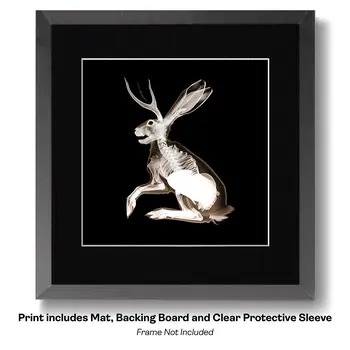 Official Jackalope Portrait - Cryptids Art Prints - 8"x10" Artwork for 10"x12" Frame