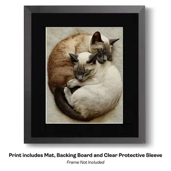 Siamese Kittens Cuddling, Happy Cats - Pets Sleeping Art Prints – 8″x10″ Artwork for 11″x14″ Frame