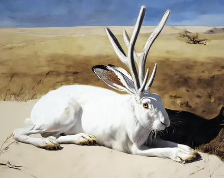 Albino Jackalope - Lonely at the Top - Cryptids Art Prints - 10"x 8" Artwork