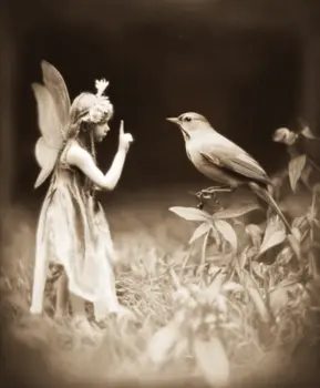 Fairy Evidence Cambridge Institute Art Print - Fairies 8"x10" Artwork