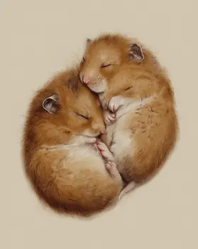 Hamsters Cuddling, Happy Hamsters - Pets Sleeping Art Prints – 8″x10″ Artwork for 11″x14″ Frame