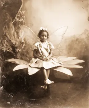 Vintage Formal Fairy Portrait Art Print - Fairies 8"x10" Artwork