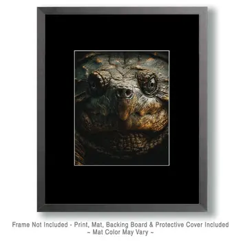Snapping Turtle Close-Up Art Print - 8"x10" Artwork