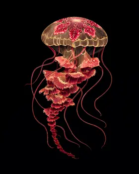 Stylized Jellyfish Art Print - 8"x10" Artwork