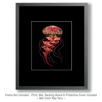 Stylized Jellyfish Art Print - 8"x10" Artwork