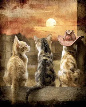 Kittens Watching the Sunset Art Print - 8"x10" Artwork
