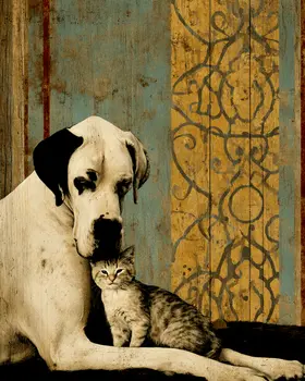 Great Dane & Kitten Love Vintage Dog Art Prints - 8"x10" Artwork