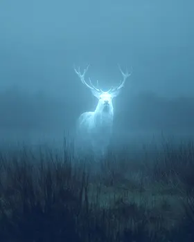 Ghost Elk Art Print - 8"x10" Artwork