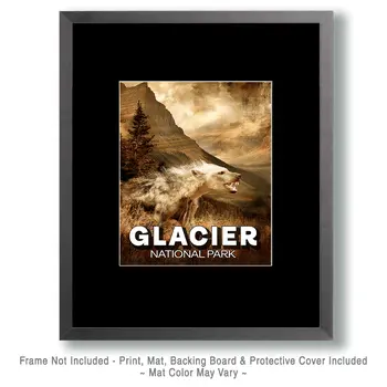Mountain Lion in Glacier National Park Souvenir Art Print - 8"x10" Artwork