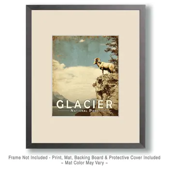 Bighorn Ram in Glacier National Park Souvenir Art Print - 8"x10" Artwork