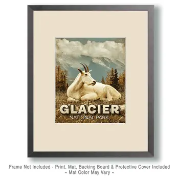 Resting Mountain Goat in Glacier National Park Souvenir Art Print - 8"x10" Artwork