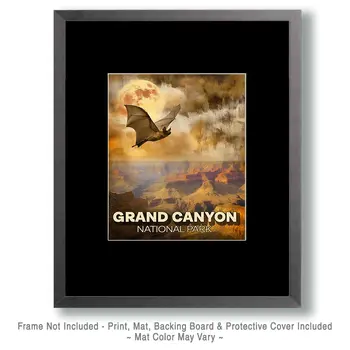 Flting Bat Grand Canyon Souvenir Art Print - 8"x10" Artwork