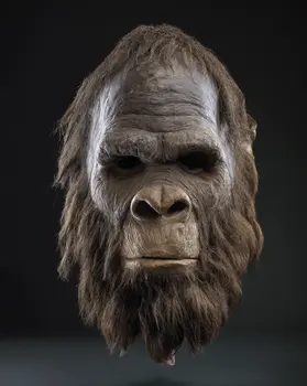 Bigfoot Mask 9 - Mask Art Prints - 8"x10" Artwork