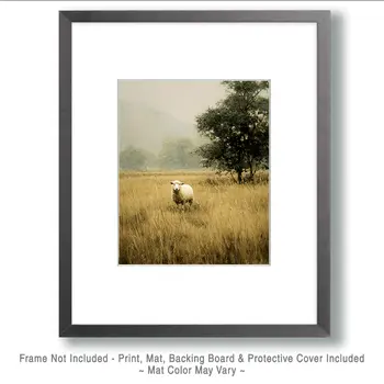 Single Sheep in Field Farm Animal Art Print - 8"x10" Artwork