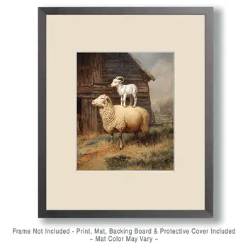 Goat on Sheep's Back Farm Animal Art Print - 8"x10" Artwork