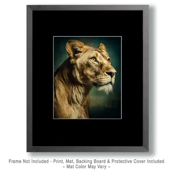 African Lionesse Portrait Big Cats Art Print - 8"x10" Artwork