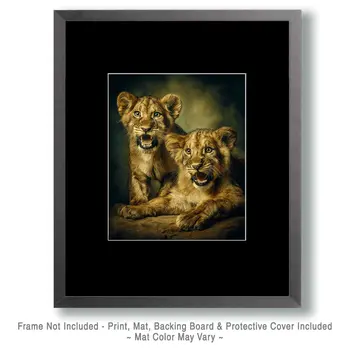Two African Lion Cubs Practicing Their Roars Big Cats Art Print - 8"x10" Artwork