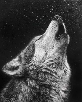 Howling Wolf Portrait American West Art Print - 8"x10" Artwork