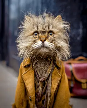 Long Haul Mack - Hobo, Vagabond & Wanderer Cat Series Art Print - 8"x10" Artwork