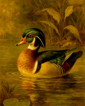 Vintage Wood Duck Painting - Waterfowl Art Print - 8"x10" Artwork