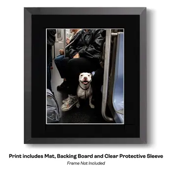 The Big Apple - NYC Subway Dog art print – 8″x10″ Artwork for 11″x14″ Frame