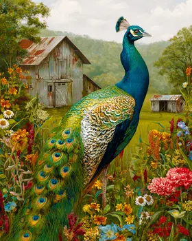 On the Farm - Peacock Peahen Peafowl Art Print - 8"x10" Artwork