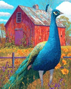 Barnyard Peacock Peahen Peafowl Art Print - 8"x10" Artwork