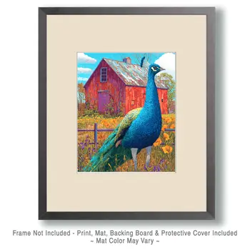 Barnyard Peacock Peahen Peafowl Art Print - 8"x10" Artwork