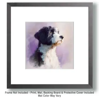 Dreamy Portie - Portuguese Water Dog Art Print - 8"x8" Artwork for 12"x12" Frame