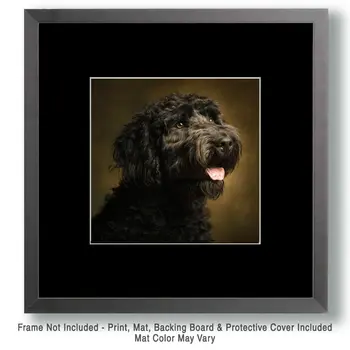Portie Portrait - Portuguese Water Dog Art Print - 8"x8" Artwork for 12"x12" Frame