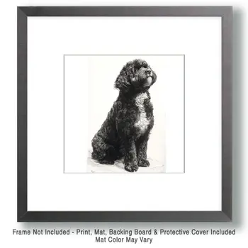 Portie Silhouette - Portuguese Water Dog Art Print - 8"x10" Artwork