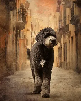 Giant Portie Walking Down City Street - Portuguese Water Dog Art Print - 8"x10" Artwork