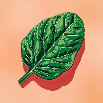 Basil Leaf 8”x8” Herbs and Spices, Culinary Art Print Collection