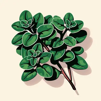 Oregano 8”x8” Herbs and Spices, Culinary Art Print Collection