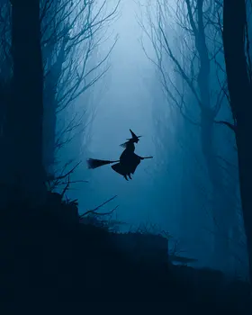 Deep Woods Witch Flying By on Broom Dark Academia Art Print - 8"x10" Artwork for 11"x14" Frame