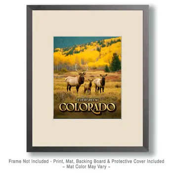 Evergreen Elk Meadow  Colorado Art Print - 8"x10" Artwork for 11"x14" Frame