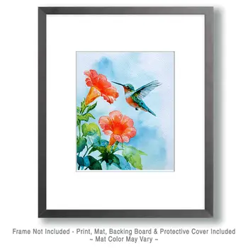 Watercolor Hummingbird Wildlife Art Print - 8"x10" Artwork for 11"x14" Frame