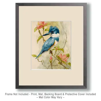 Watercolor Kingfisher Wildlife Art Print - 8"x10" Artwork for 11"x14" Frame