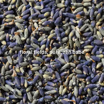 Deodorant - Lush Lavender