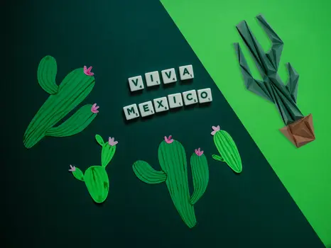 Cactus
