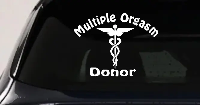Multiple Orgasm Donor Decal - Funny Car Truck Window Vinyl Sticker