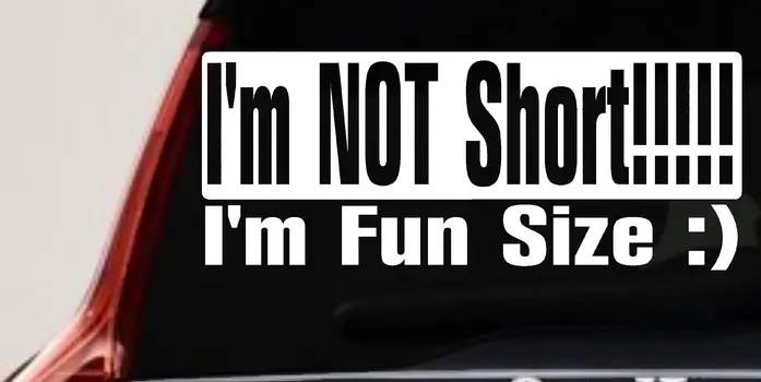 Im Not Short Im Fun Sized Funny Decal for Car Truck Window