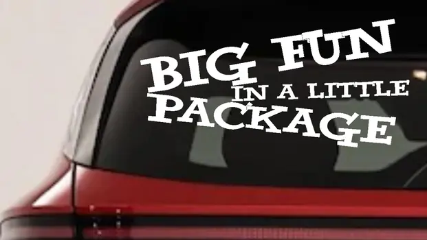 Funny Car Truck Window Decal Sticker Big Fun Little Package Vinyl