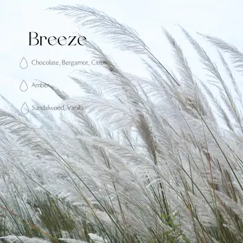 Breeze car refill