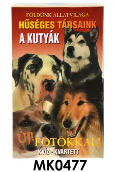 Kártya, Kutyák, kvartett, 6,5x10 cm dob.