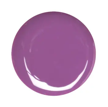Violet Color Gel 5gr #25