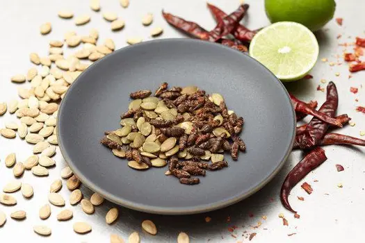 Crickets By The Pound | Plain Unflavored Roasted Crickets