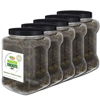 Bulk Edible Crickets